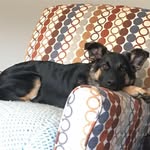 Tracey Franks - @tgfranks - Instagram