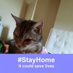 Tracey Gates - @tracey.gates07 - Instagram