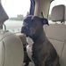 Tracy Gates - Facebook