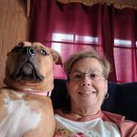 Tracey Gault - @tracey.gault - Instagram