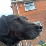 Tracey Ginns - @traceyginns83 - Instagram