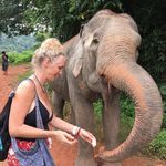 Tracey Richardson Ginn - @trippinwtracey - Instagram