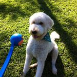 Tracey Goodwin - @tracey_goodwin - Instagram