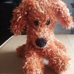 Tracey Goodwin - @tracey.goodwin.9828 - Instagram