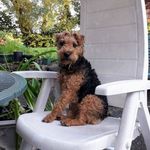 Tracey Goodwin - @tracey.goodwin.923 - Instagram