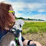 Tracey PupDawg Goodwin - @pupdawg - Instagram