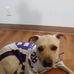 Tracy Graves - Facebook