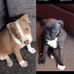 Tracey Gregory - Facebook