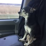 Tracey Gross - @traceygross45 - Instagram