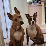 Tracey Gross - @tracers73 - Instagram