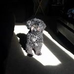 Tracey Hardwick - @hardwicktracey - Instagram
