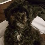 Tracey Hardwick - @trayh67 - Instagram