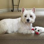 Tracey Hare - @tracey.hare.5 - Instagram