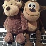 Tracey Hare - @haretracey - Instagram