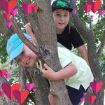 Tracey Harrison - @traceyharrison1966 - Instagram