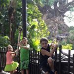 Tracey Harrison - @traceyharrison7 - Instagram