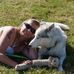 Tracey Harrison - Facebook