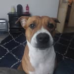 Tracey Robinson Harrison - @traceyharrison79 - Instagram