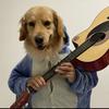 Guess who I am - @traceyhartmt - TikTok