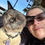 Tracey Hart - @tracey.hart - Instagram