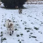 Tracey Hatfield - @hatfieldtracey - Instagram