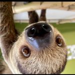 Tracey Hatfield - @traceynjts - Instagram