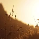 Tracey Healy - @healytracey - Instagram