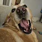Tracey Heard - @tracey_heard - Instagram