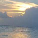 Tracey Hendricks Dodson - @hendricksdodson - Instagram