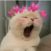 traceyhendricks - @traceyhendricks47 - TikTok