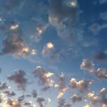 tracy heron moore - @thistle_and_moon - Instagram