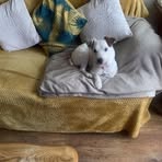 Tracey Higgins - Facebook