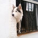 Tracey Higgins - @tracey.higgins14 - Instagram