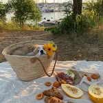 Tracey Hodges - @lillianduncan74kn3 - Instagram