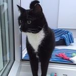 Tracey Holt - @traceytorment - Instagram