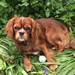 Tracey Holt - Facebook