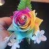 Tracey Hoy - @tracey.hoy - TikTok