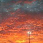 tracey huber - @traceyhub - Instagram