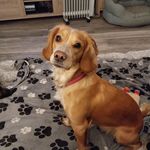 Tracey hull - @traceyhull321 - Instagram