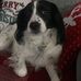 Tracey Hull - Facebook