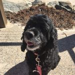 Tracey Hull - @tracey.hull.353 - Instagram