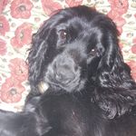 Tracey Hull - @traceyhull23 - Instagram