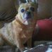 Tracy Hull - Facebook