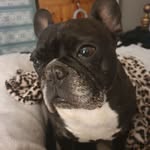 Tracey Hurst - @hurst_tracey - Instagram