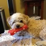 Tracey Hurst - @tracey16463 - Instagram