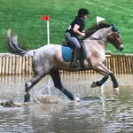 Tracey Hurst - @traceyhurst4 - Instagram