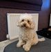 Tracey Jefferies - Facebook