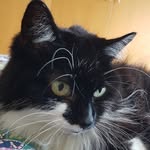 Tracey Jefferies - @traceyj262 - Instagram