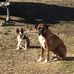 Tracy Keel - Facebook
