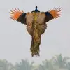 Tracey Keeling845 - @smileypeacock - TikTok